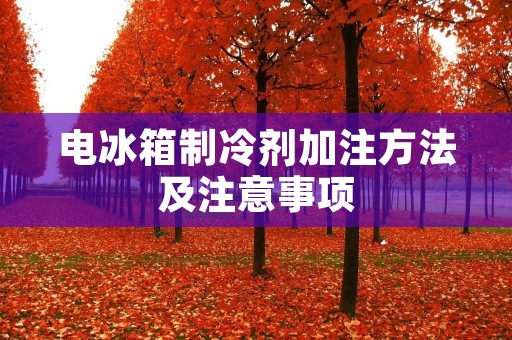 电冰箱制冷剂加注方法及注意事项