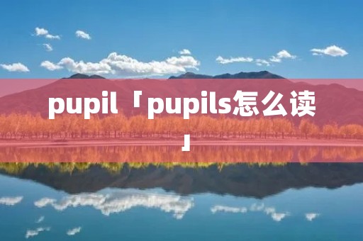 pupil「pupils怎么读」