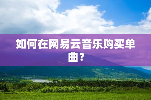如何在网易云音乐购买单曲? 如何在网易云音乐购买单曲?