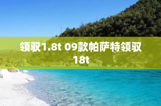 领驭1.8t 09款帕萨特领驭18t