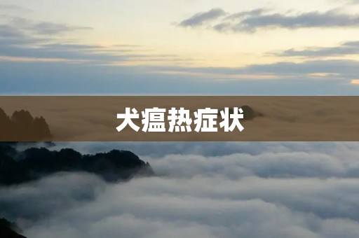 犬瘟热症状:如何识别和治疗 犬瘟热症状:如何识别和治疗