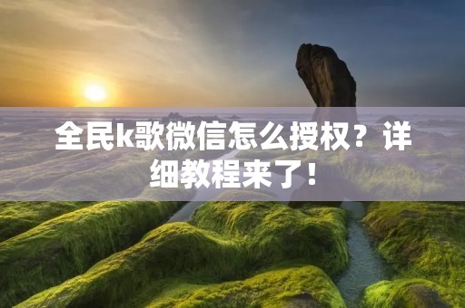 全民k歌微信怎么授权?详细教程来了! 全民k歌微信怎么授权?详细教程来了!