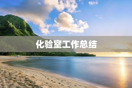 化验室工作总结