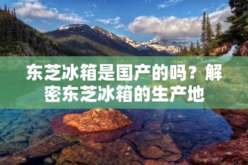 东芝冰箱是国产的吗？解密东芝冰箱的生产地