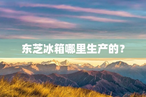 东芝冰箱哪里生产的？