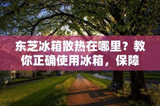 东芝冰箱散热在哪里？教你正确使用冰箱，保障食品安全！