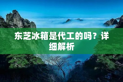 东芝冰箱是代工的吗？详细解析
