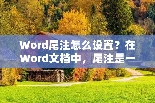 Word尾注怎么设置?在Word文档中,尾注是一种注释方式,常用于学术论文和专业文献中,用来解释、补充或引证原文中的某些内容。如果你需要在Word文档中添加尾注,可以按照以下步骤进行设置。 Word尾注怎么设置?在Word文档中,尾注是一种注释方式,常用于学术论文和专业文献中,用来解释、补充或引证原文中的某些内容。如果你需要在Word文档中添加尾注,可以按照以下步骤进行设置。