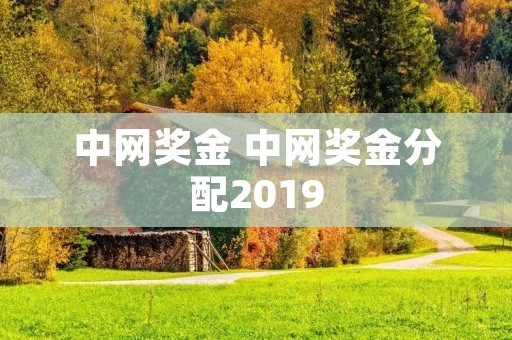 中网奖金 中网奖金分配2019