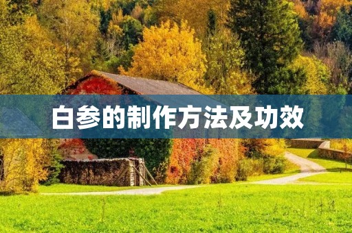 白参的制作方法及功效 白参的制作方法及功效