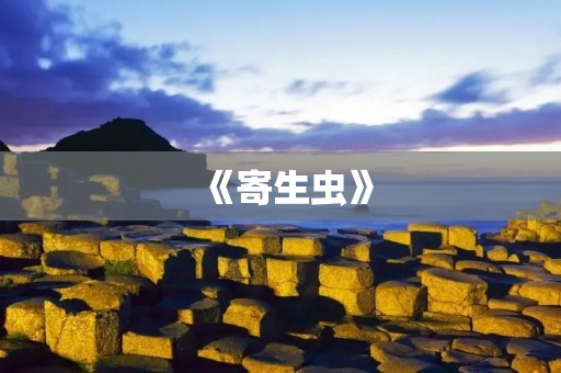 《寄生虫》:一部充满社会寓意的黑色喜剧