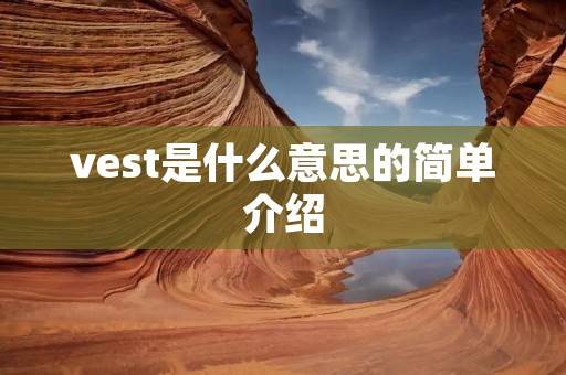 vest是什么意思的简单介绍 vest是什么意思的简单介绍