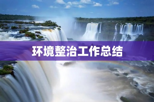环境整治工作总结