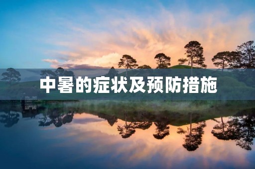 中暑的症状及预防措施 中暑的症状及预防措施