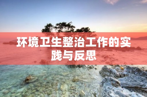 环境卫生整治工作的实践与反思