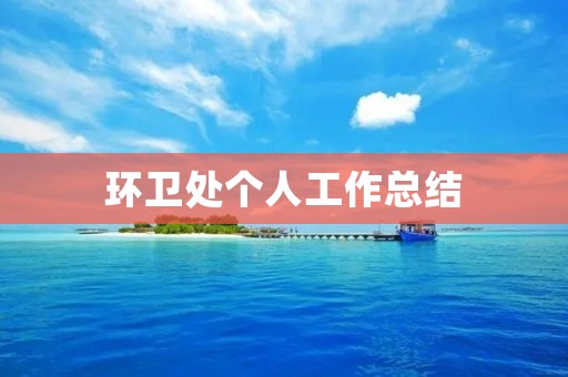 环卫处个人工作总结