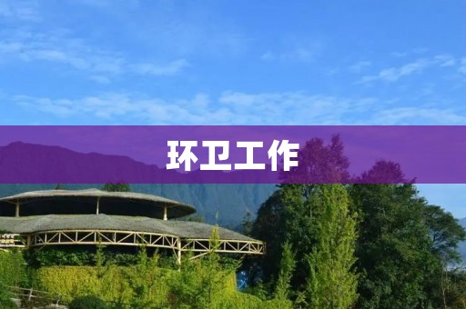 环卫工作：半年的劳动与收获