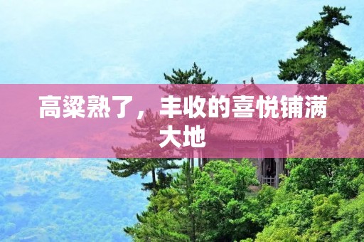 高粱熟了,丰收的喜悦铺满大地 高粱熟了,丰收的喜悦铺满大地