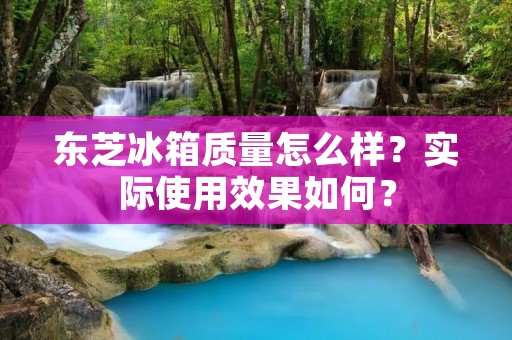 东芝冰箱质量怎么样？实际使用效果如何？
