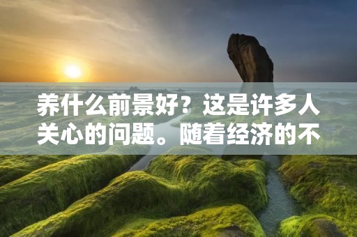 养什么前景好?这是许多人关心的问题。随着经济的不断发展,人们对于宠物的需求也越来越高。宠物市场的不断扩大,也为养殖业提供了更多的机会。那么,究竟哪些动物的养殖前景比较好呢?下面,我们就来一一探究。