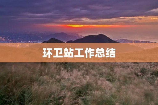 环卫站工作总结