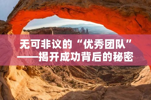无可非议的“优秀团队”——揭开成功背后的秘密