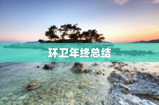 环卫年终总结：从“脏乱差”到“美丽宜居”