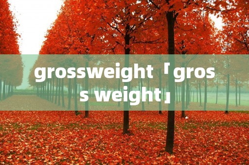 grossweight「gross weight」