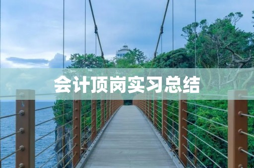 会计顶岗实习总结