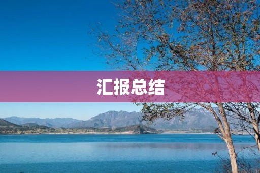 汇报总结:我所参与的项目的进展情况