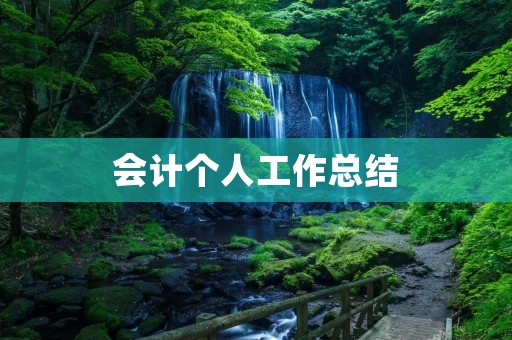 会计个人工作总结:我的成长与收获