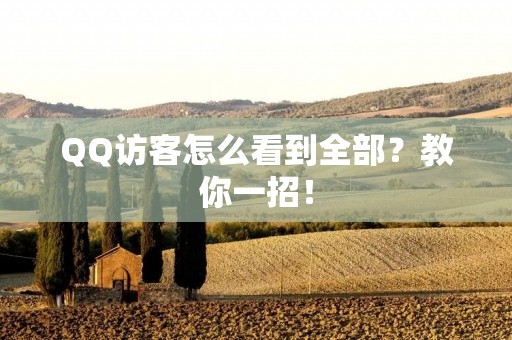 QQ访客怎么看到全部？教你一招！
