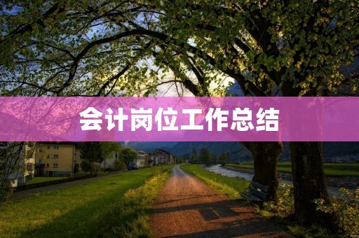 会计岗位工作总结