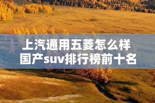 上汽通用五菱怎么样 国产suv排行榜前十名 上汽通用五菱怎么样 国产suv排行榜前十名