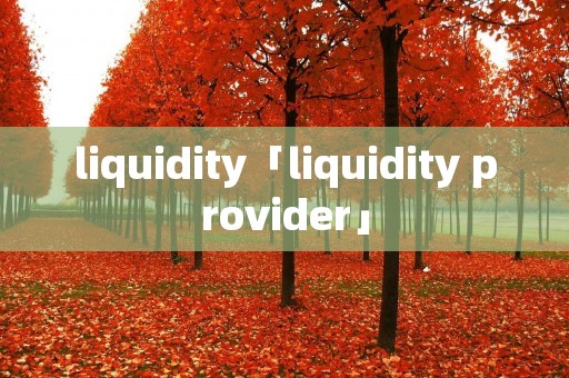 liquidity「liquidity provider」 liquidity「liquidity provider」