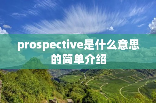 prospective是什么意思的简单介绍