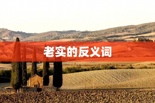 老实的反义词：虚伪的人