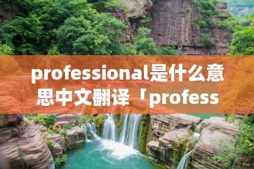 professional是什么意思中文翻译「professional是什么意思英语」