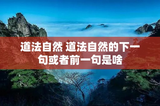 道法自然 道法自然的下一句或者前一句是啥