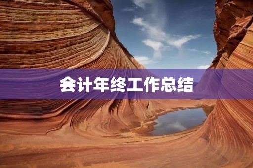 会计年终工作总结