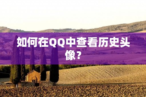 如何在QQ中查看历史头像? 如何在QQ中查看历史头像?