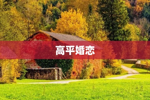 高平婚恋：一个城市的爱情故事