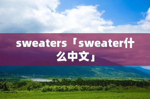 sweaters「sweater什么中文」