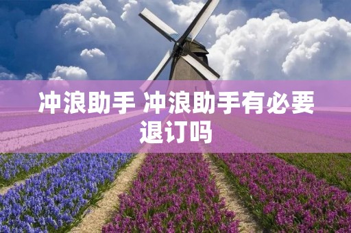 冲浪助手 冲浪助手有必要退订吗