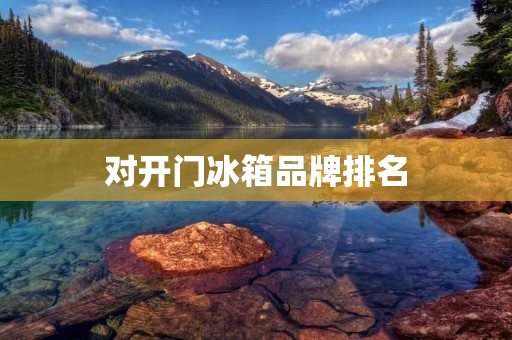 对开门冰箱品牌排名:哪些品牌最受欢迎? 对开门冰箱品牌排名:哪些品牌最受欢迎?