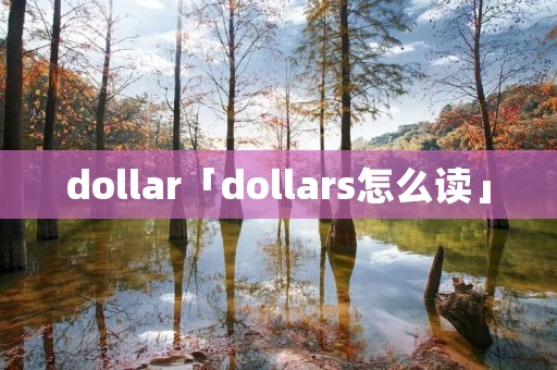 dollar「dollars怎么读」