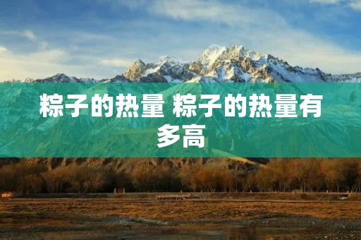 粽子的热量 粽子的热量有多高 粽子的热量 粽子的热量有多高