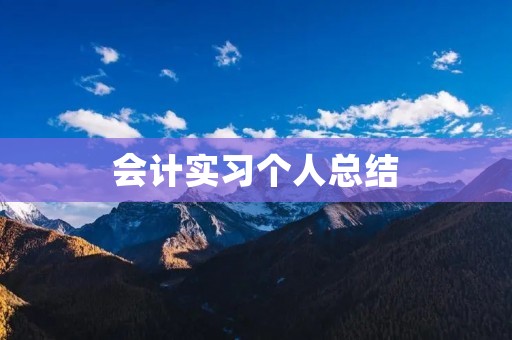 会计实习个人总结