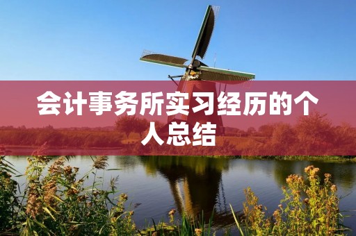 会计事务所实习经历的个人总结