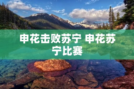 申花击败苏宁 申花苏宁比赛